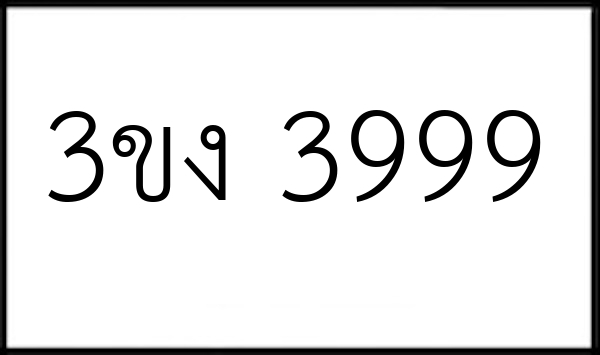 3ขง 3999